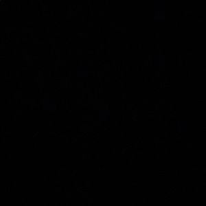 Meet your Posher, Penn